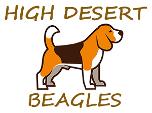 High Desert Beagles